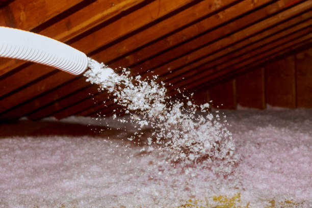 Best Attic Insulation Installation  in Flora, IN