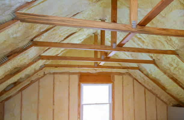 Best Crawl Space Insulation  in Flora, IN