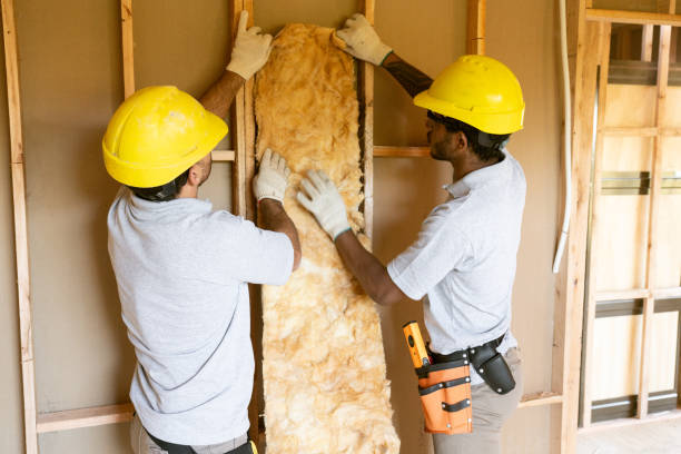 Best Professional Insulation Contractor  in Flora, IN