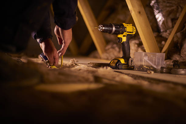 Best Home Insulation Services  in Flora, IN