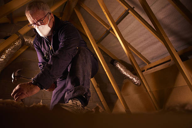 Best Wall Insulation Contractor  in Flora, IN