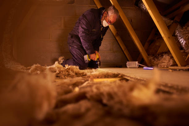 Best Insulation Inspection Services  in Flora, IN