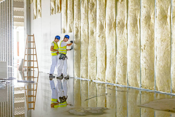 Soundproof Insulation Installation in Flora, IN